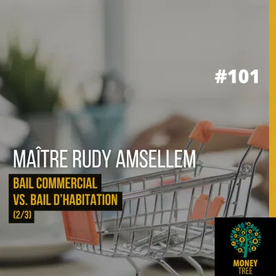 Pochette de l'épisode #101 du podcast Money Tree avec Maître Rudy Amsellem